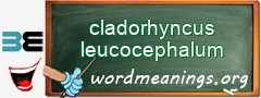 WordMeaning blackboard for cladorhyncus leucocephalum